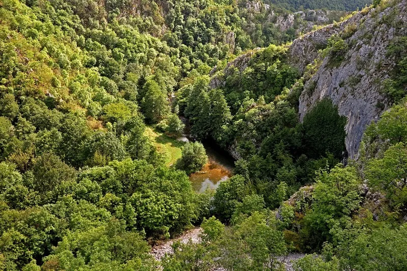 Wandern in der Karasch-Schlucht (Cheile Carașului)